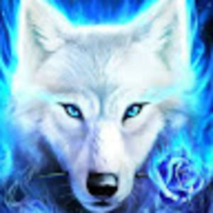 Meet your Posher, Jonanthan